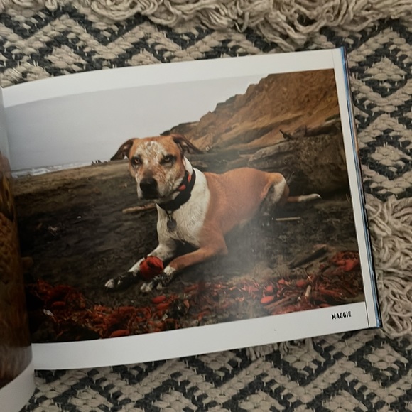 New! Book - Picture 4 of 5